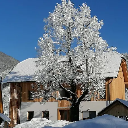 Apartamento Gorski Raj *