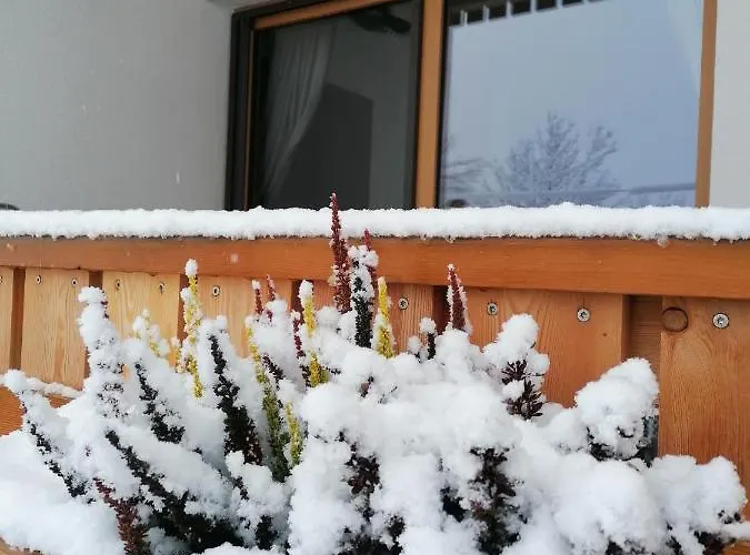 Daire Gorski Raj Kranjska Gora